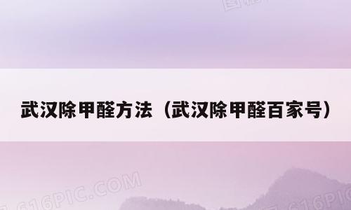 武汉除甲醛方法（武汉除甲醛百家号）