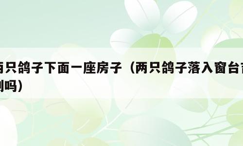 两只鸽子下面一座房子（两只鸽子落入窗台吉利吗）