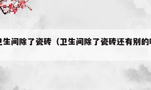 卫生间除了瓷砖（卫生间除了瓷砖还有别的吗）
