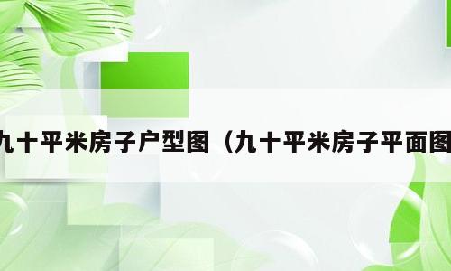 九十平米房子户型图（九十平米房子平面图）