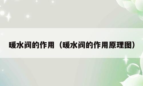 暖水阀的作用（暖水阀的作用原理图）