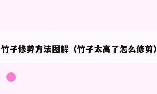 竹子修剪方法图解（竹子太高了怎么修剪）