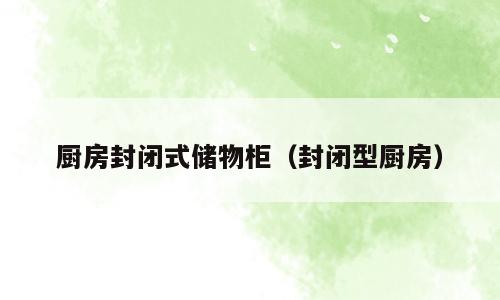 厨房封闭式储物柜（封闭型厨房）