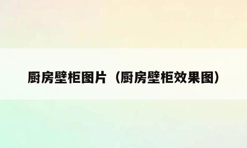 厨房壁柜图片（厨房壁柜效果图）