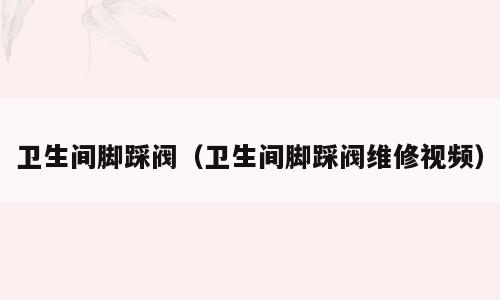卫生间脚踩阀（卫生间脚踩阀维修视频）