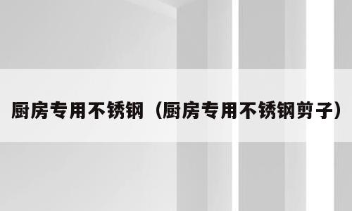 厨房专用不锈钢（厨房专用不锈钢剪子）