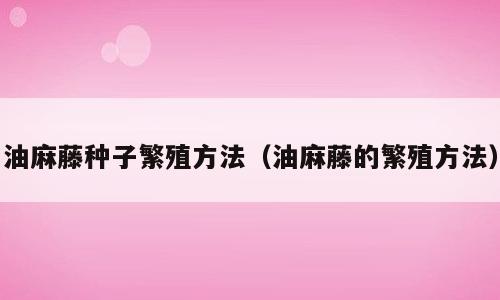 油麻藤种子繁殖方法（油麻藤的繁殖方法）