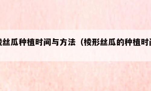 棱丝瓜种植时间与方法（棱形丝瓜的种植时间）