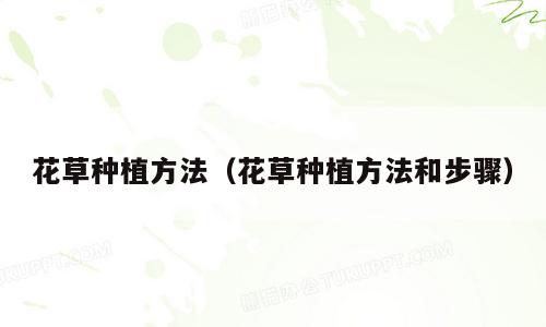 花草种植方法（花草种植方法和步骤）