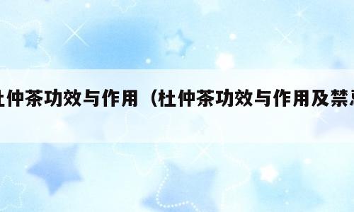 杜仲茶功效与作用（杜仲茶功效与作用及禁忌）