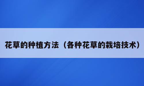花草的种植方法（各种花草的栽培技术）