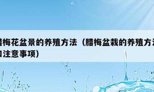 腊梅花盆景的养殖方法（腊梅盆栽的养殖方法和注意事项）