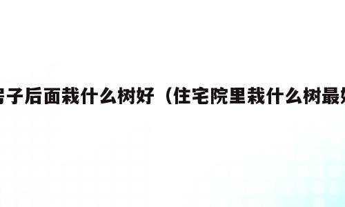 房子后面栽什么树好（住宅院里栽什么树最好）