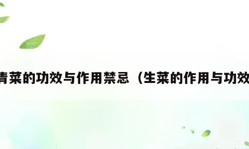 青菜的功效与作用禁忌（生菜的作用与功效）