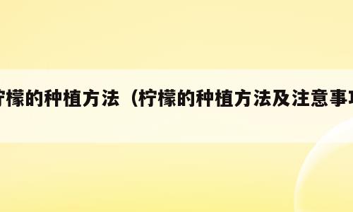 柠檬的种植方法（柠檬的种植方法及注意事项）