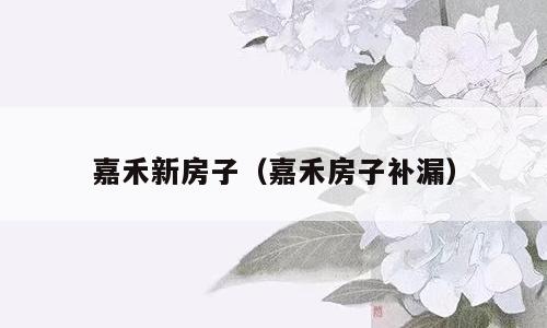 嘉禾新房子（嘉禾房子补漏）