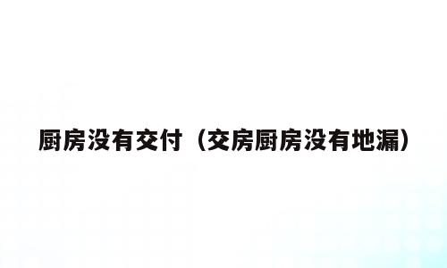 厨房没有交付（交房厨房没有地漏）