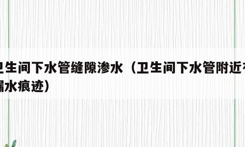 卫生间下水管缝隙渗水（卫生间下水管附近有漏水痕迹）