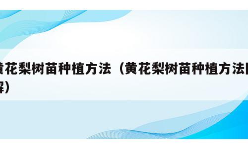 黄花梨树苗种植方法（黄花梨树苗种植方法图解）