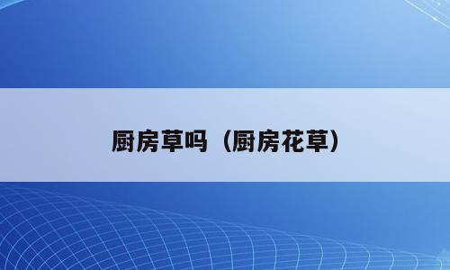 厨房草吗（厨房花草）
