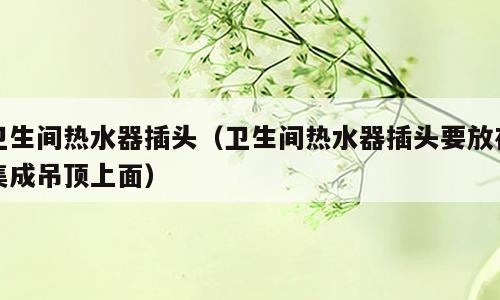 卫生间热水器插头（卫生间热水器插头要放在集成吊顶上面）