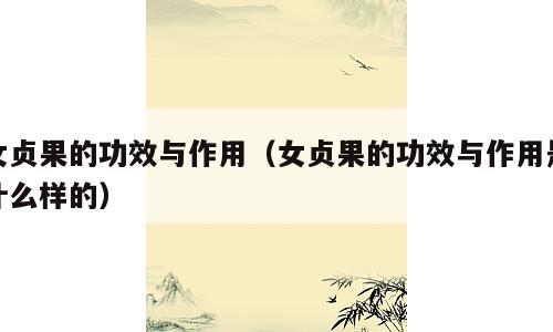 女贞果的功效与作用（女贞果的功效与作用是什么样的）