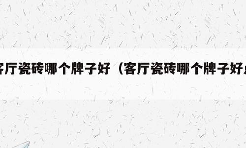 客厅瓷砖哪个牌子好（客厅瓷砖哪个牌子好点）