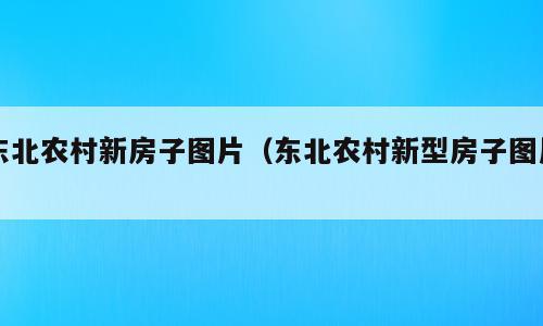 东北农村新房子图片（东北农村新型房子图片）