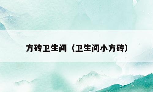 方砖卫生间（卫生间小方砖）