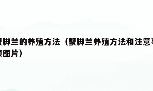 蟹脚兰的养殖方法（蟹脚兰养殖方法和注意事项图片）