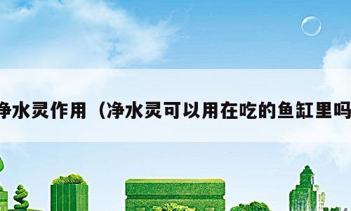 净水灵作用（净水灵可以用在吃的鱼缸里吗）
