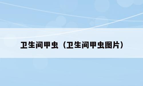 卫生间甲虫（卫生间甲虫图片）