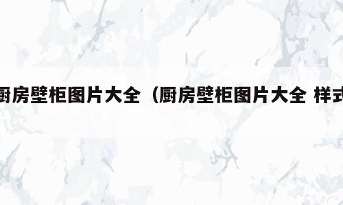 厨房壁柜图片大全（厨房壁柜图片大全 样式）
