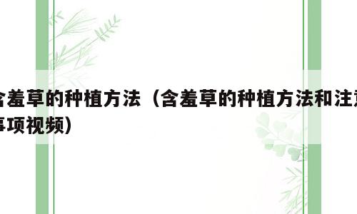 含羞草的种植方法（含羞草的种植方法和注意事项视频）