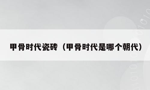 甲骨时代瓷砖（甲骨时代是哪个朝代）