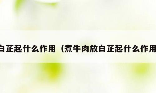 白芷起什么作用（煮牛肉放白芷起什么作用）