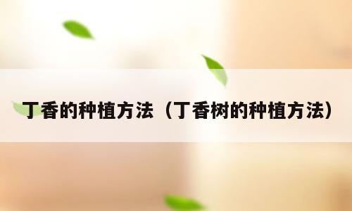 丁香的种植方法（丁香树的种植方法）