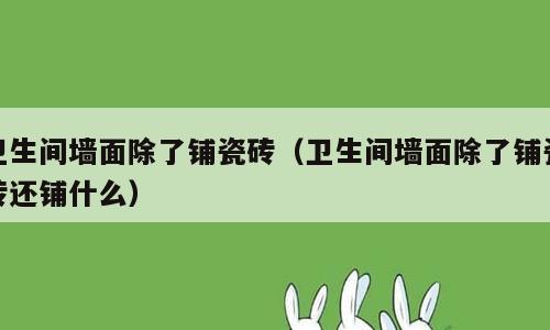 卫生间墙面除了铺瓷砖（卫生间墙面除了铺瓷砖还铺什么）