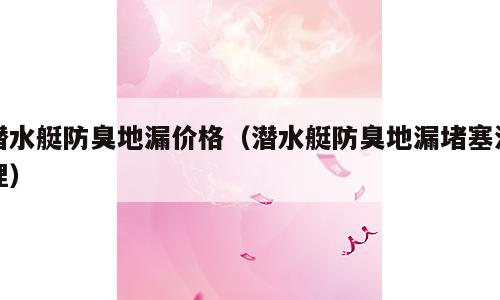 潜水艇防臭地漏价格（潜水艇防臭地漏堵塞清理）