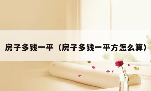 房子多钱一平（房子多钱一平方怎么算）