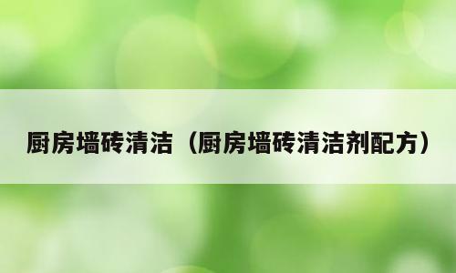 厨房墙砖清洁（厨房墙砖清洁剂配方）