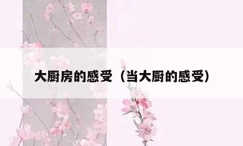 大厨房的感受（当大厨的感受）