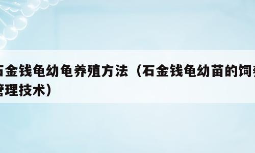 石金钱龟幼龟养殖方法（石金钱龟幼苗的饲养管理技术）