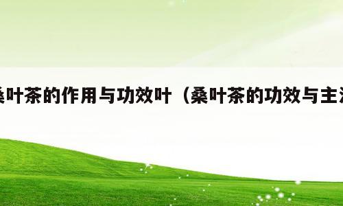 桑叶茶的作用与功效叶（桑叶茶的功效与主治）