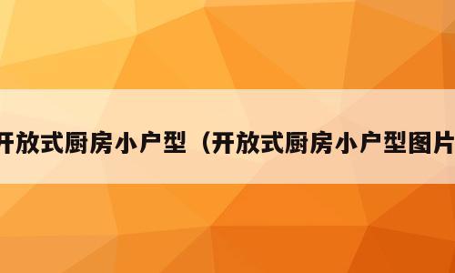 开放式厨房小户型（开放式厨房小户型图片）