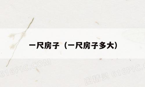 一尺房子（一尺房子多大）