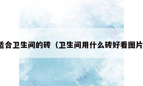 适合卫生间的砖（卫生间用什么砖好看图片）