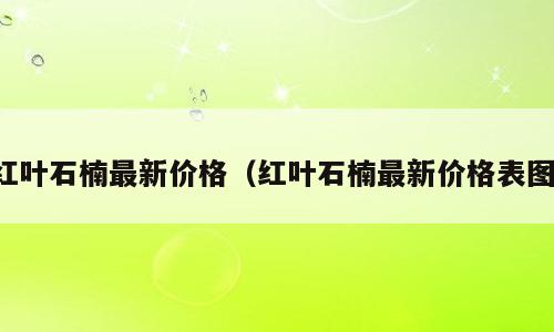 红叶石楠最新价格（红叶石楠最新价格表图）