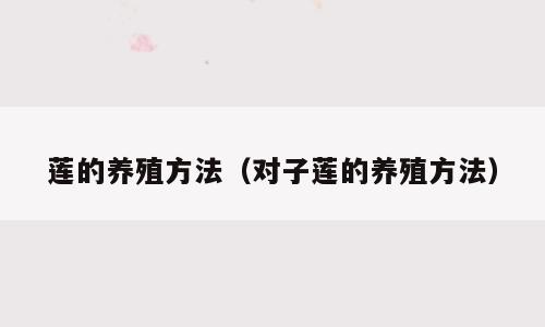 莲的养殖方法（对子莲的养殖方法）