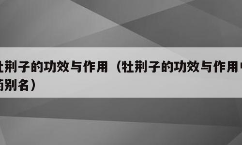 牡荆子的功效与作用（牡荆子的功效与作用中药别名）